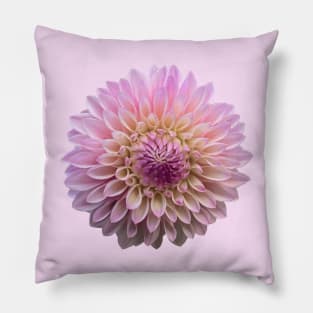 Coralie Dahlia, Peach and Pink Flower Pillow