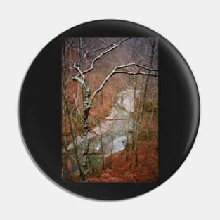 River in the mountains Pin