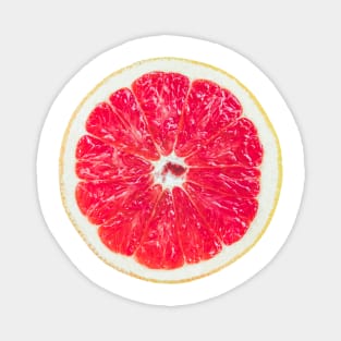 Sliced Fresh Grapefruit Magnet