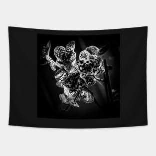 Monochrome Spotted Orchids Tapestry