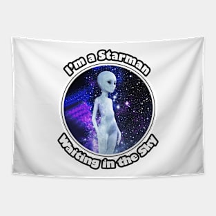 👽 I'm a Starman Waiting in the Sky, Humanoid Alien Space Design Tapestry