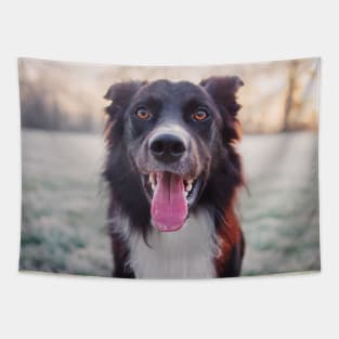 Overjoyed border collie Tapestry