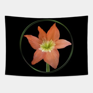 Amaryllis-flower - Flower in Kenya / Africa Tapestry