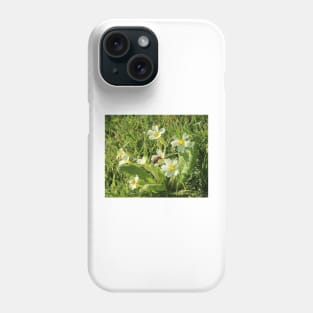 common yellow primrose with a worker honey bee Phone Case
