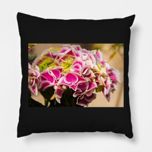 Pink Hydrangea Flowers Pillow