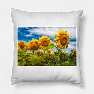 Sunflowers 4 Pillow