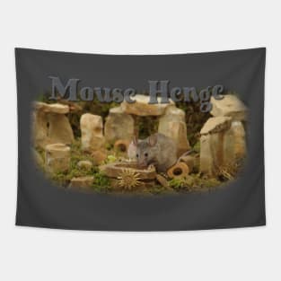 Mouse Henge summer solstice Tapestry