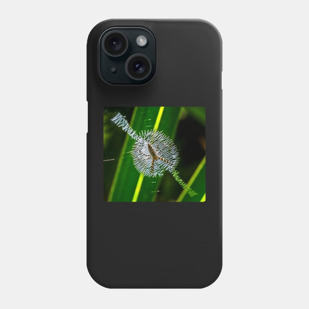 Spider in web Phone Case by joesaladino