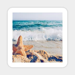 Starfish Resting with  Sea View Magnet