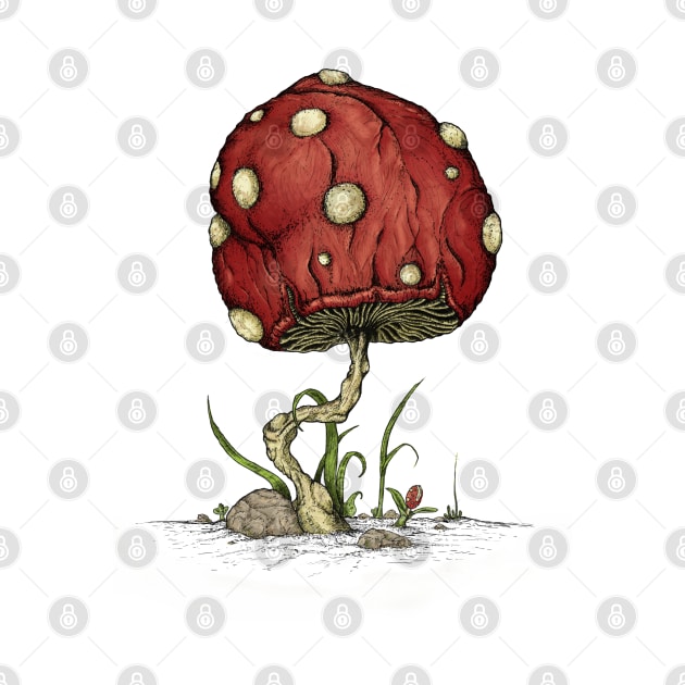 Grow Mushroom simple by TenkenNoKaiten
