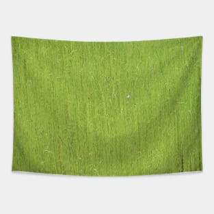 Green Green Grass Tapestry