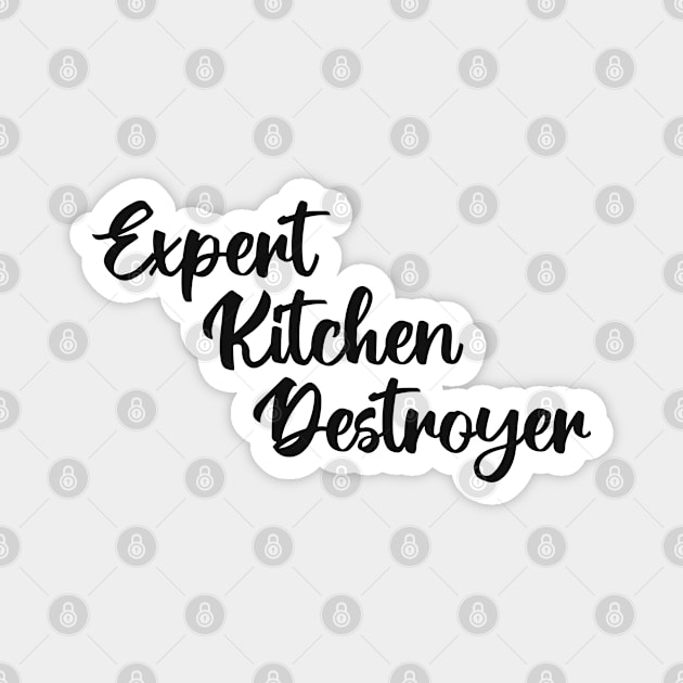 Expert Kitchen Destroyer Magnet by Strong with Purpose