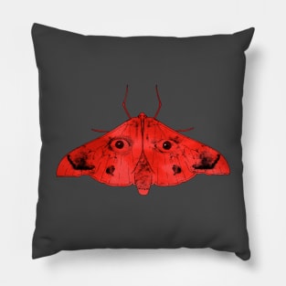 Moth and their eyes Pillow