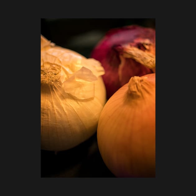 Trio of Onions by jecphotography