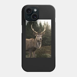 Sunlight Deer Phone Case