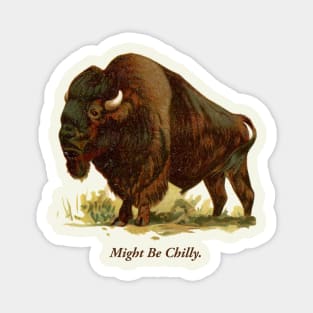 Might Be Chilly Buffalo New York 716 Bison Magnet