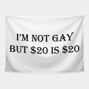 i’m not gay but $20 is $20 Tapestry