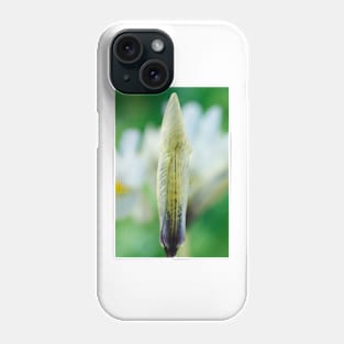 Iris  'Katharine Hodgkin'  AGM  Reticulata Phone Case