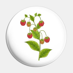 Raspberry Art Pin