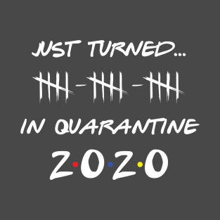 Just Turned 15 In Quarantine Humor Birthday T-Shirt