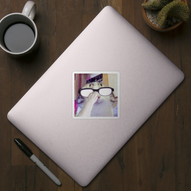 Beluga cat, Beluga Cat Meme, Meme Sticker for Sale by graphic-genie