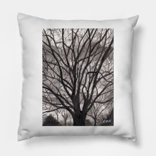 Evening Trees Pillow