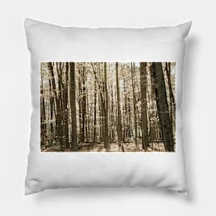 Autumn deep in forest scene on a trail in New England Pillow