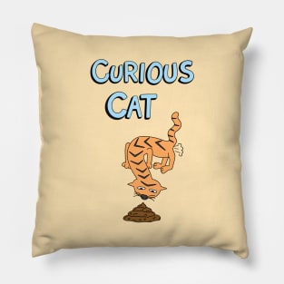 Curious Cat Pillow