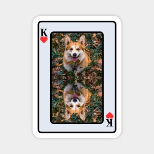 Corgi King Of Hearts Magnet