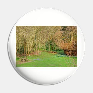 Picnic site Pin