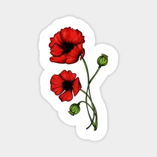 Poppies Magnet