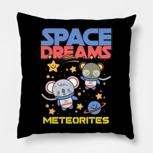 Meteorite Collector "Space Dreams - Meteorites" Meteorite Pillow