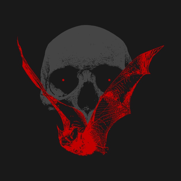 Bat skull by TORVENIUS