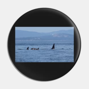 Orca Family Pin