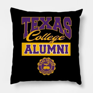 Texas 1894 College Apparel Pillow