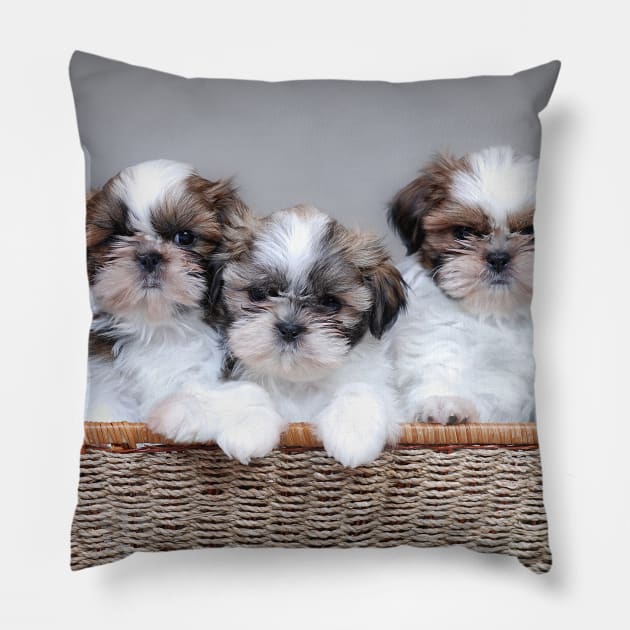 Shih Tzu puppies Pillow by PetsArt