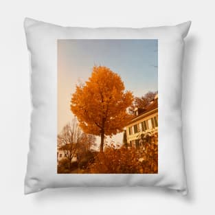 Golden leaves in the sun Pillow