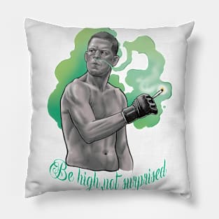 be high not surprised Pillow