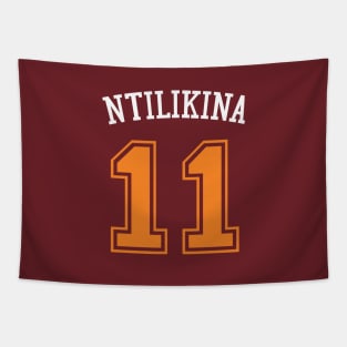 Frank Ntilikina Tapestry