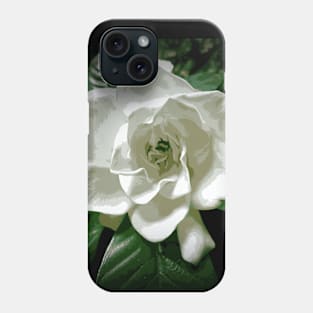 White Gardenia In The Shadows Phone Case