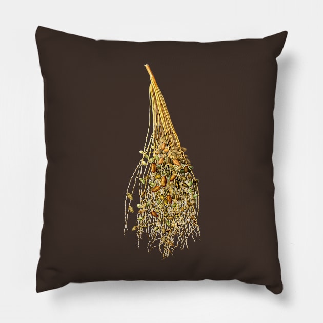 Vintage Botanical Illustration - Normal Spadice of the Palm 096 Pillow by Holy Rock Design