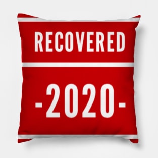 Recovered 2020 Pillow