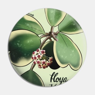 Hoya Kerrii in bloom Pin