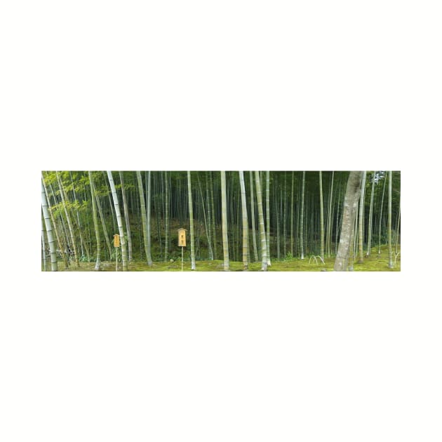 Bamboo Forest Panorama - Japan by GenAumonier