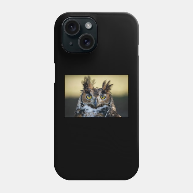 Great Horned Owl portrait Phone Case by Todd Graven Photography 