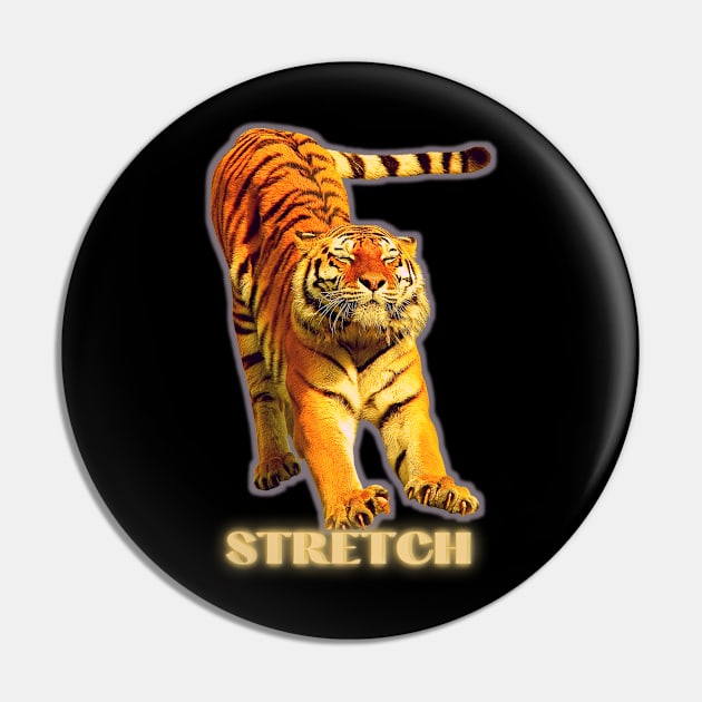 Large tiger doing a stretch exercise - silver gold 1 Pin by Blue Butterfly Designs 