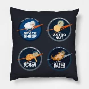 Astronomy Puns | Gift Ideas | Funny Space Mission Patch Pillow