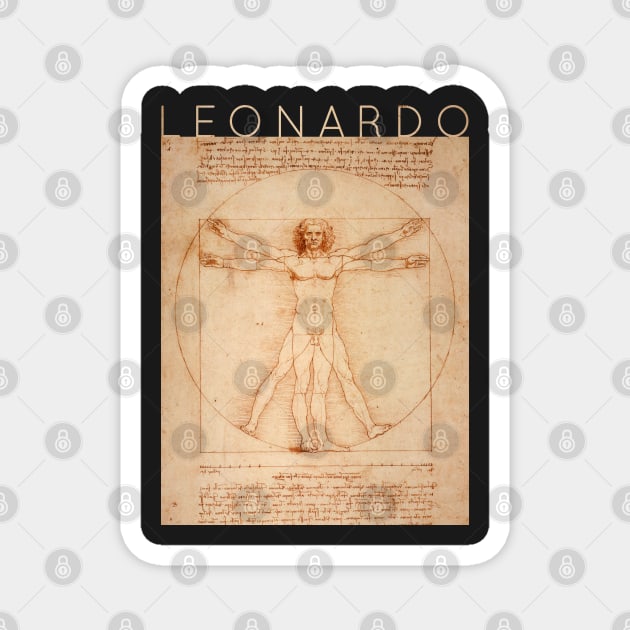 Vitruvian Man - Leonardo da Vinci Magnet by TwistedCity