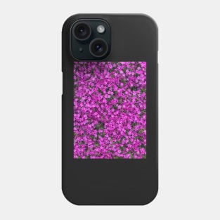 A carpet of pink creeping phlox blossoms Phone Case