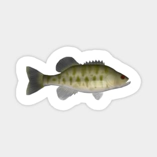 Shoal Bass Magnet